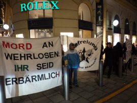 Demo Linz